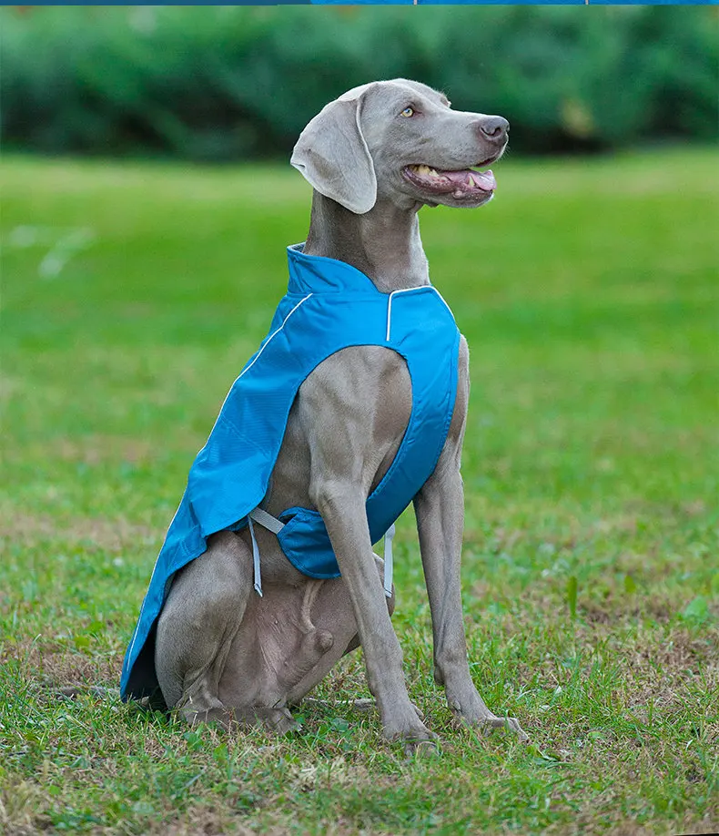 High Quality Dog Coat Warm Soft Pet Apparel Winter Dog Clothes Buy