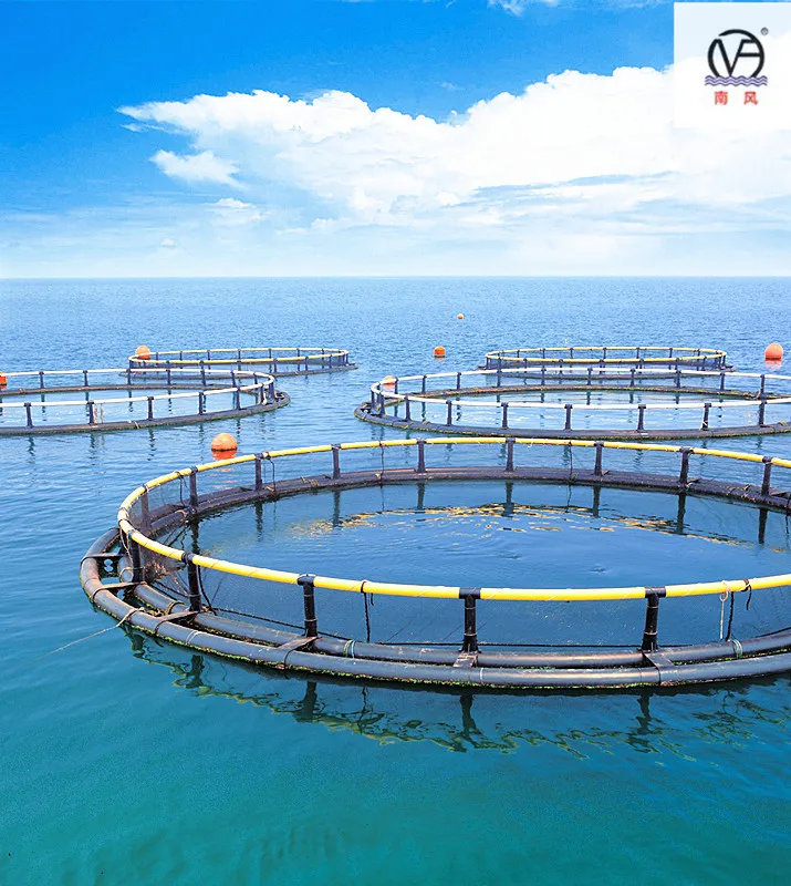 Aquaculture Fish Cage Floating For Tilapia Culture Buy Fish Cage Floating,Fish Cage For
