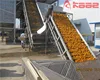 Scraper lifting conveyor