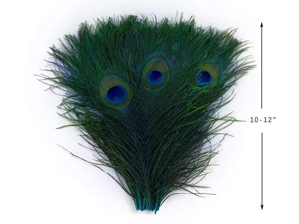 bulk peacock feathers