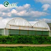 Agricultural Multi Span Vinyl Greenhouse Used For Uzbekistan