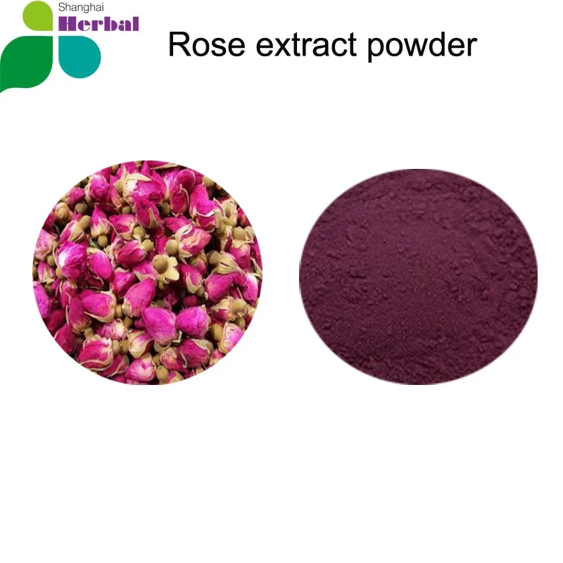 Food Supplement Rose Flower Extract Powder Buy Rose Extract Powder