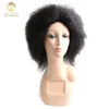 STOCK 6inch short big bouncy Afro kinky curly synthetic wigs for women black blonde 99J colors