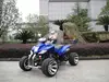 250cc EEC ATV/QUAD, RACING ATV/QUAD,250cc Road Legal Quad/ATV