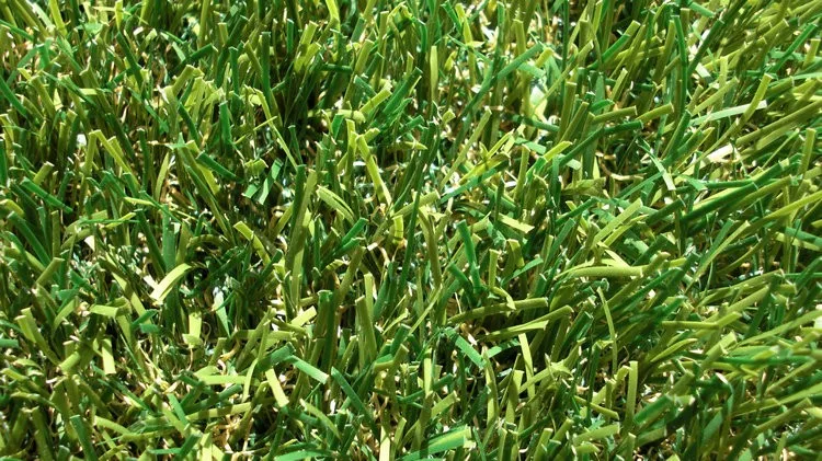 AU-4514ADA-T5-1 above view (1).jpg