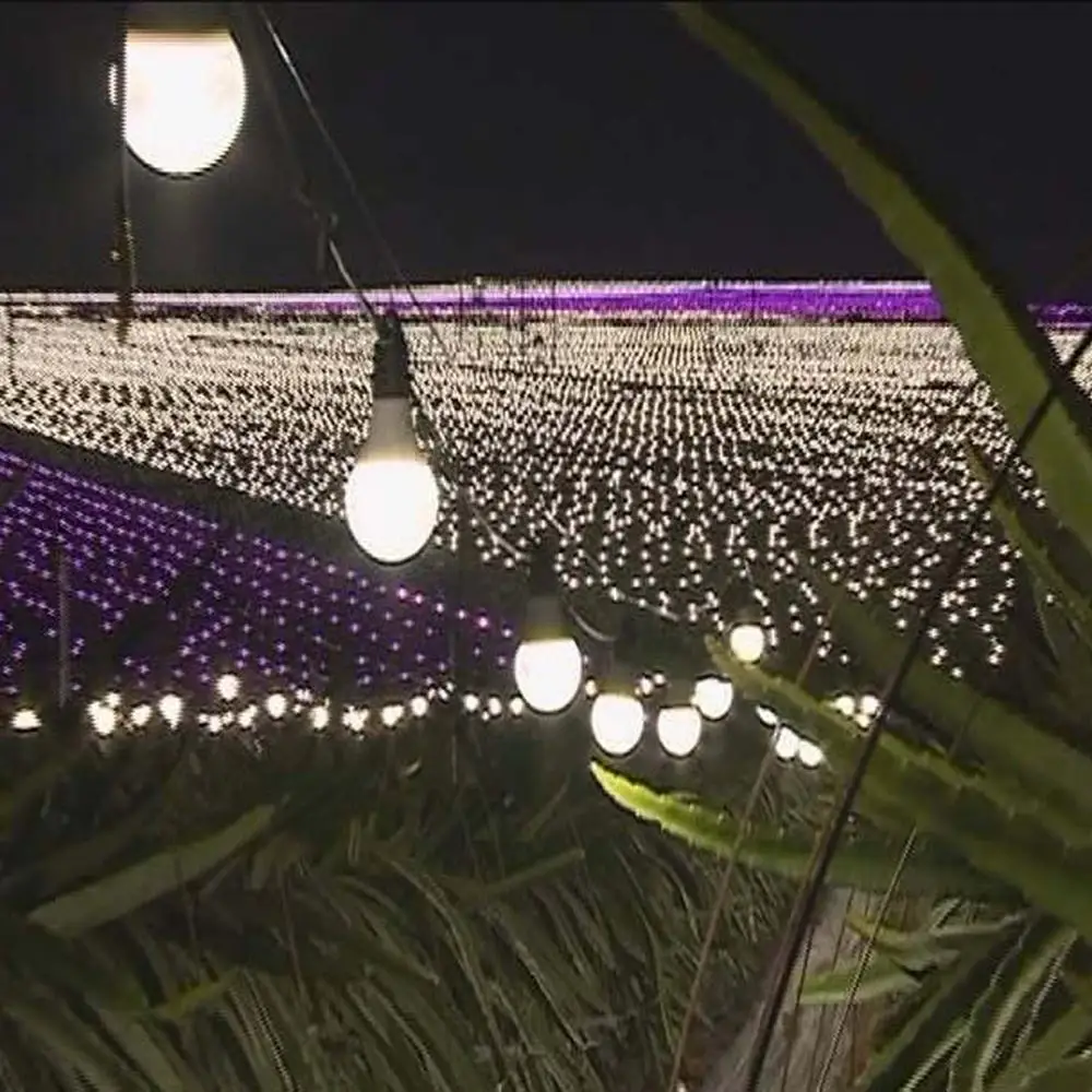 Led Grow Light Ideal For Dragon Fruit Supplementary Lighting Buy Led