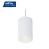 China Supply 2018 European Style 20W Decorative Ceiling Surface Led Pendent Lights