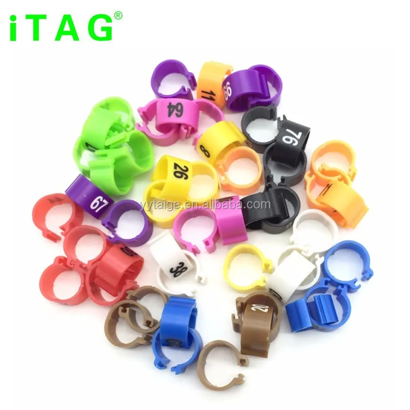 Personalized 3mm Plastic Canary Clip Rings For Birds - Buy Colorful Rings  With White Letter,Plastic Numeric Racing Pigeon Ring,Good Quality Pigeon  Ring  Bird Ring With Customized Numbers  Words Product on