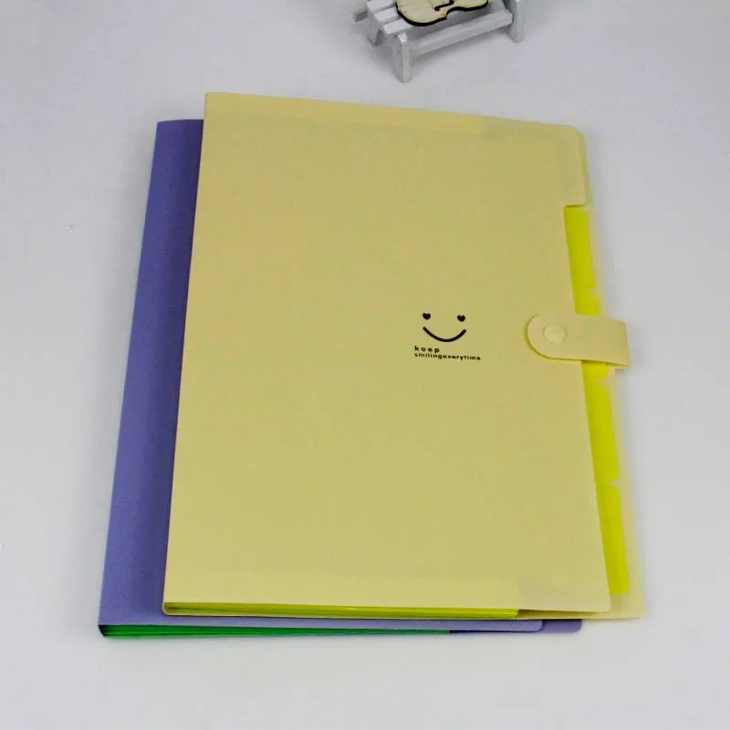 customized good quality clear pocket plastic accordion folder