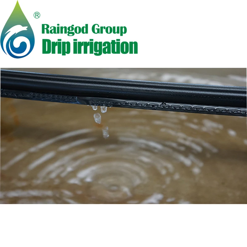 Rain God Agricultural Drip Irrigation Pipe/tape Systems For Farm Irrigation With High Quality