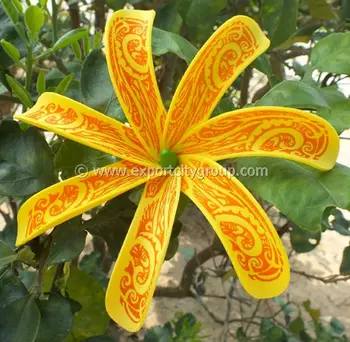 Tiare Apetahi Fleur De Raiatea Tatouage Symboles