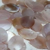 Genius pink MOP oval discs wholesale