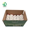 Chinese New Fresh Garlic Box 10kg