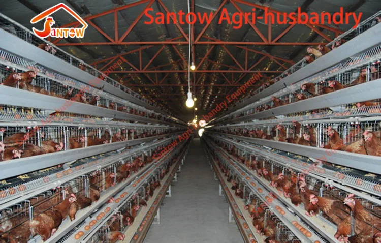 Poultry design layer chicken cages 128 layers per set