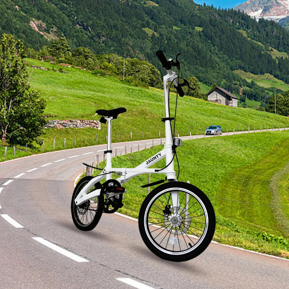 fast delivery mountain bike cycle with cheap price