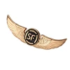 Lions club stainless steel air force patches and badges
