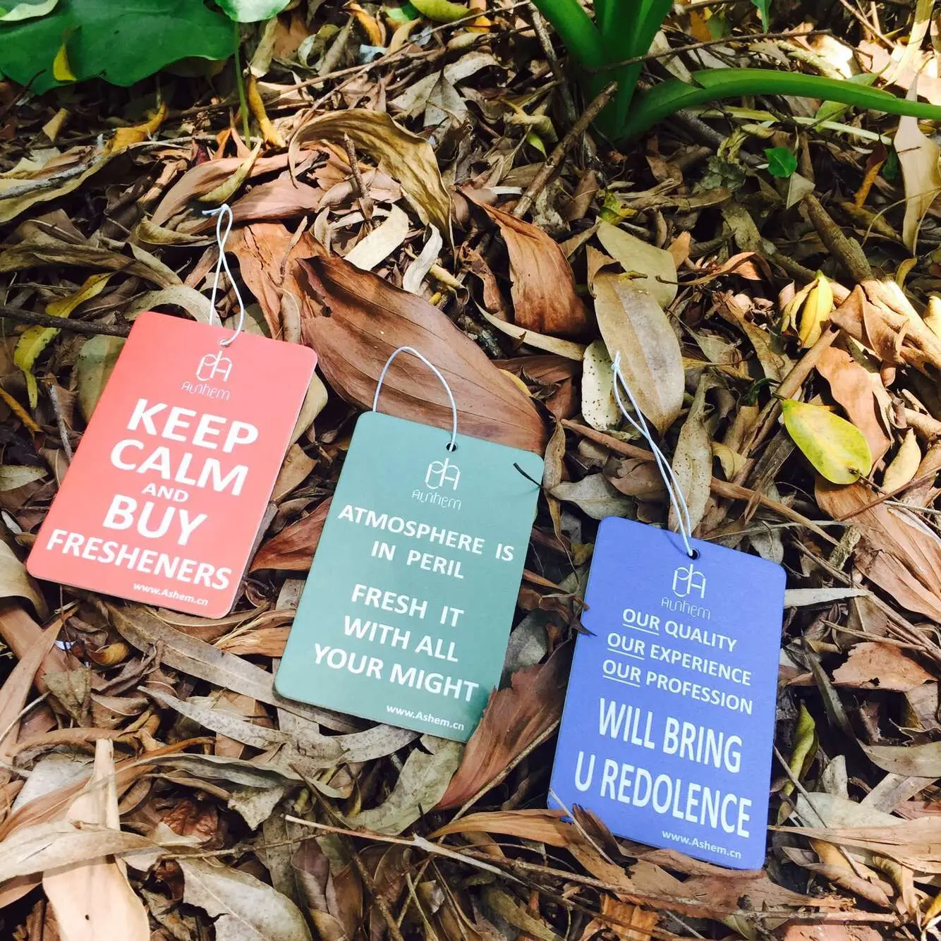 Paper Freshener (2).jpg