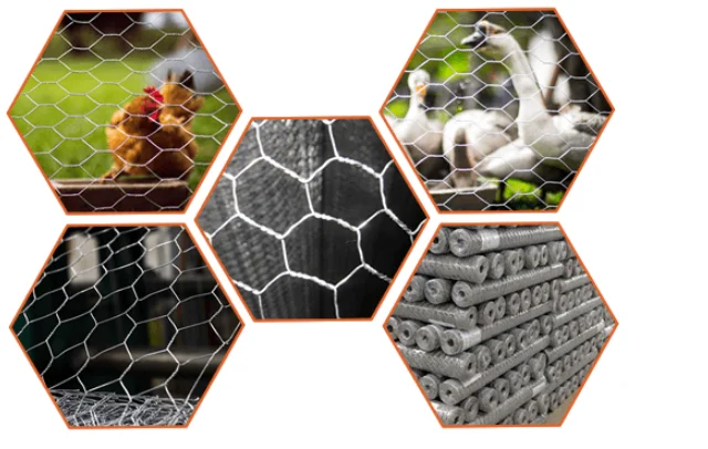 Mechanical chicken coop wire fence/Hot sale hexagonal wire mesh machinery