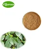Organic Eucommia Extract/Eucommia Extract powder/eucommia bark p.e.