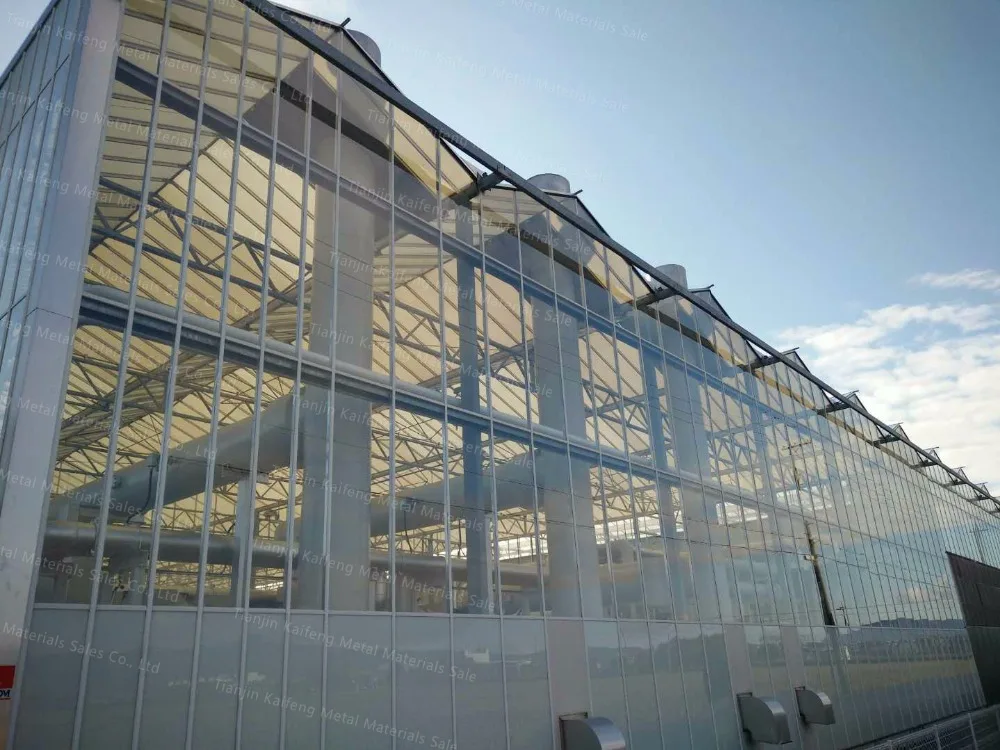 Professional Greenhouse Galvanized Steel Frame Multispan Greenhouses