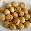 China canned mushroom/champignons with low price 820g/2500g