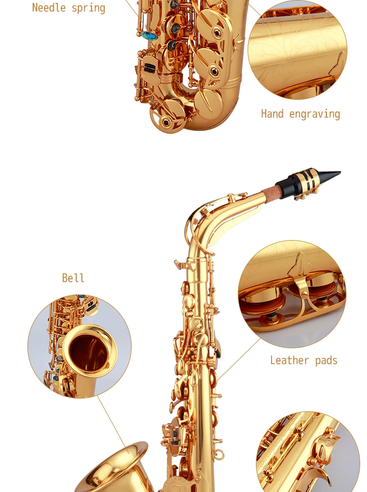 Taishan Musical Instrument 5000 Eb Alto Saxophone With Gold Lacquer
