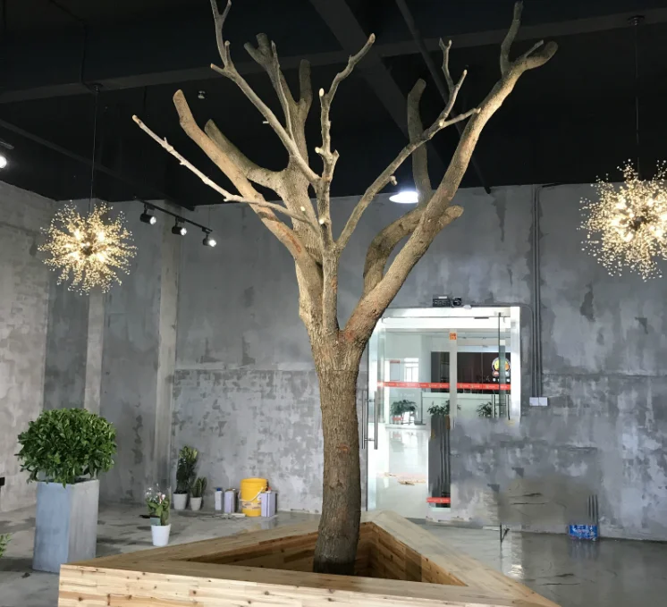 dry tree (3).png