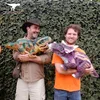 /product-detail/baby-dinosaur-arms-toys-hand-puppet-for-kids-60517970797.html