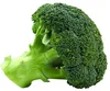 best price natural broccoli seeds extract in bulk