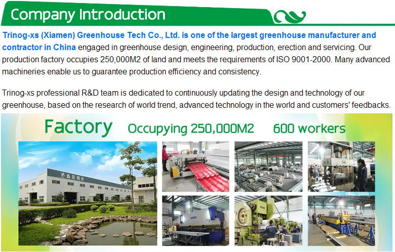 greenhouse hydroponics