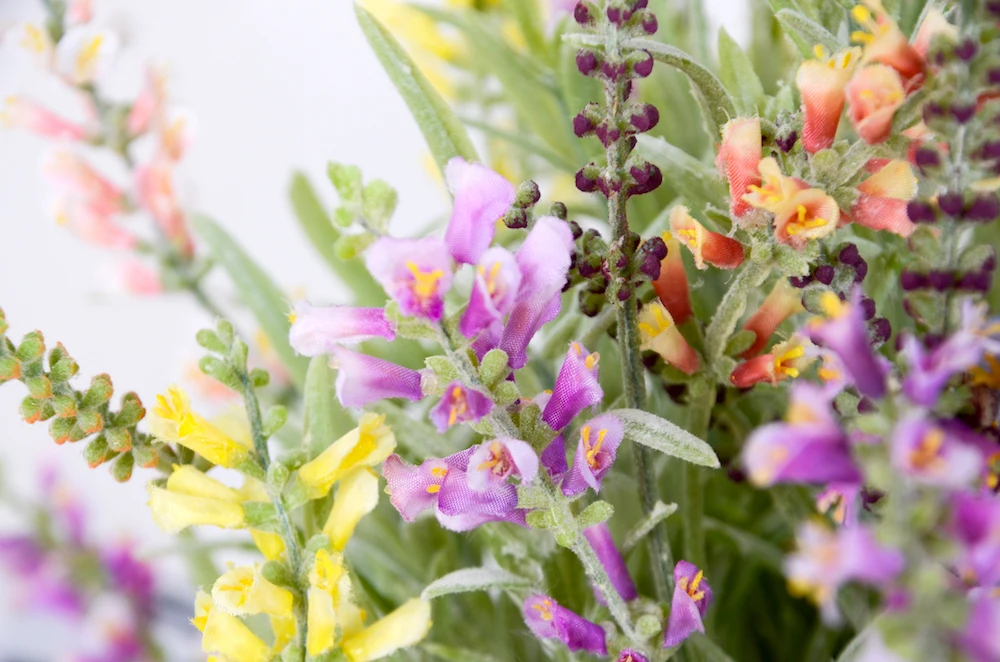 用品 园林景观与装饰 人造植物品牌名称 nifloral 花卉种类 罗勒花