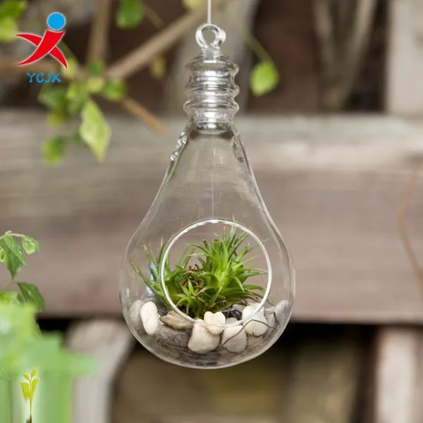Hanging Glass Light Bulbs Shape Terrariums For Sale /bulb Vase Buy