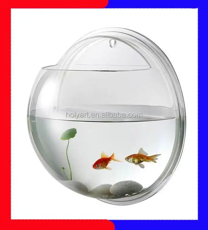 fish bowl lid