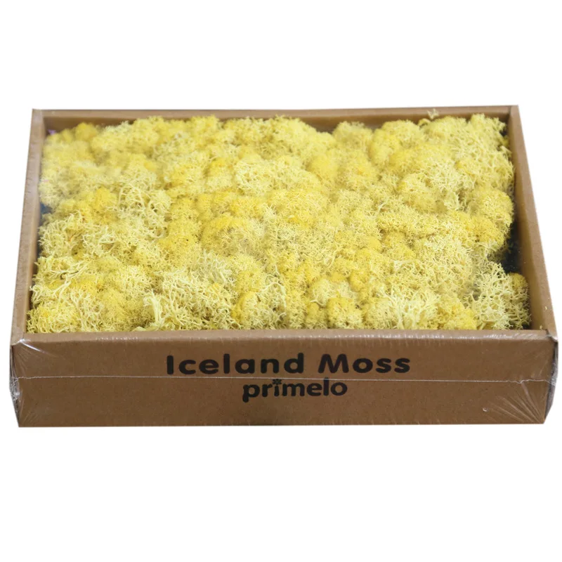 8954837110_1787692047