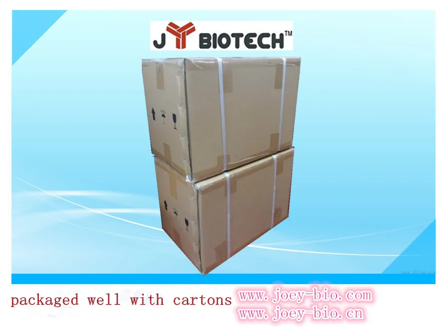 packaged carton.jpg