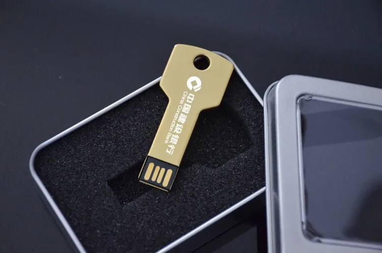 2018 new hot business gift key shape customized logo 1gb 4gb 8gb 16gb 64gb memory USB flash pendrive - ANKUX.COM