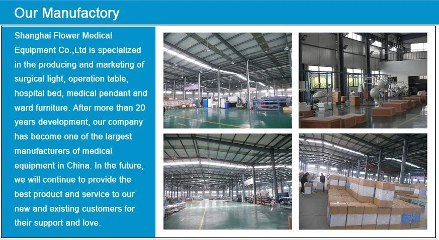 company info1