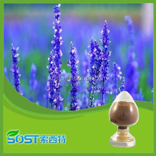 high quality natural vanilla powder.jpg