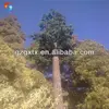 Hot Sale 15m GSM Artificial Pine Tree Communication Tower