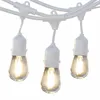 Highest Quality 10M 20M 110V 220V Easter Day white led festoon lighting For wholesales indoor decoration