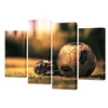 Canvas Wall Art Soccer Shoes & Football On The Green Grass-Filtered Image Modern Giclee Canvas Prints Home Wall Decoration