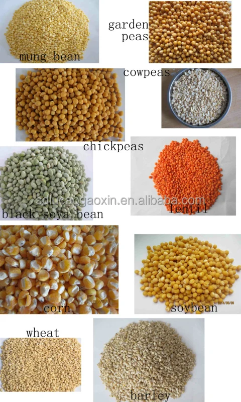 Beans peeling 2 in English.jpg