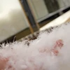 Pillow filling material Washed white duck feather down wholesale
