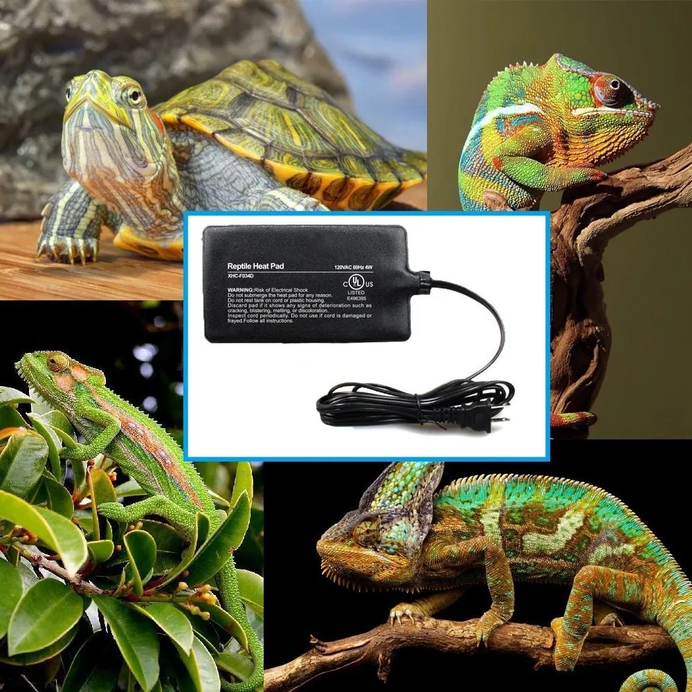 Reptile Heat Pat3_.jpg
