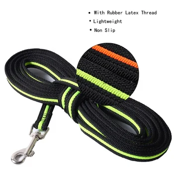 outdoor dog leash