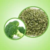 green day vegetables chips freeze dried vegetables fd broccoli