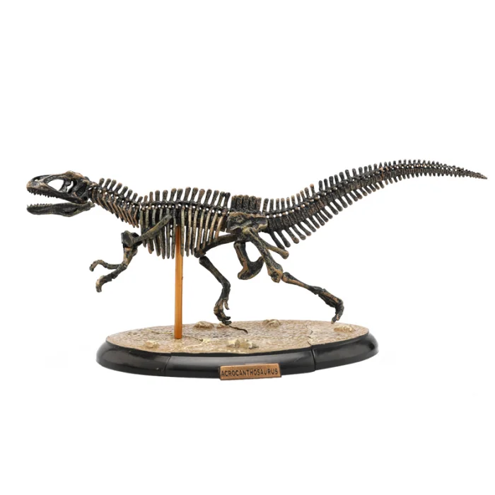 Custom Make Dinosaur Skeleton,Dinosaur Toy,Recyclable Pvc 3d Dinosaur ...