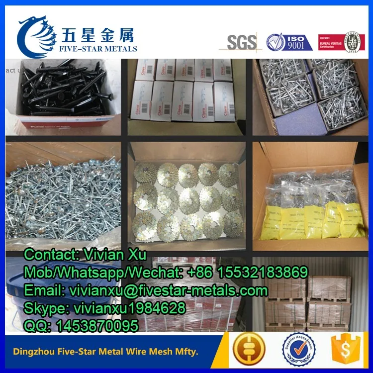 factory product common nail common iron nail common wire nail.jpg