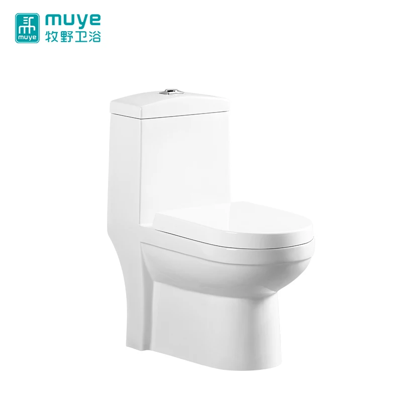 Chaozhou Made Bathroom Dual Flush Sanitary Ware One Piece Siphonic Porcelain Toilet Bowl Buy 6794