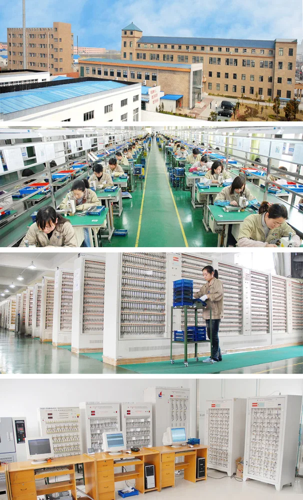 Deep cycle LiFePo4 battery for cctv / solar lighting
